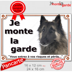 Berger Belge Tervueren tête, plaque portail extérieur "Je Monte la Garde, risques et périls" pancarte photo attention au chien