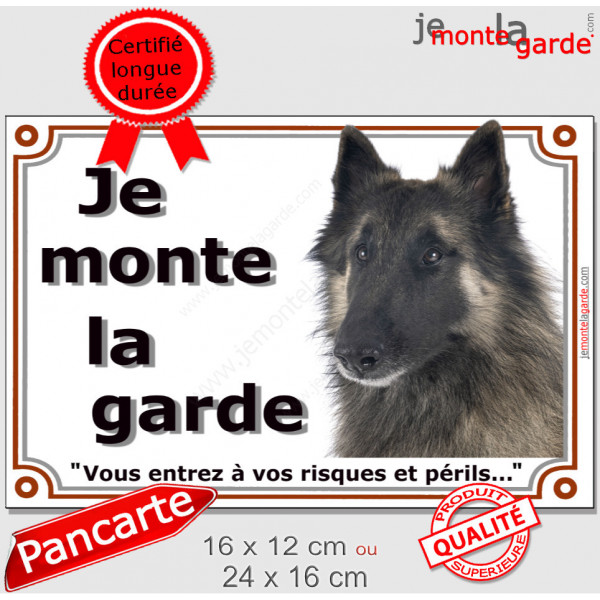 Berger Belge Tervueren tête, plaque portail extérieur "Je Monte la Garde, risques et périls" pancarte photo attention au chien