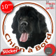 Terre Neuve noir, Sticker autocollant rond "Chien à Bord" Disque adhésif vitre voiture photo