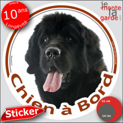 Terre Neuve noir, Sticker autocollant rond "Chien à Bord" Disque adhésif vitre voiture photo