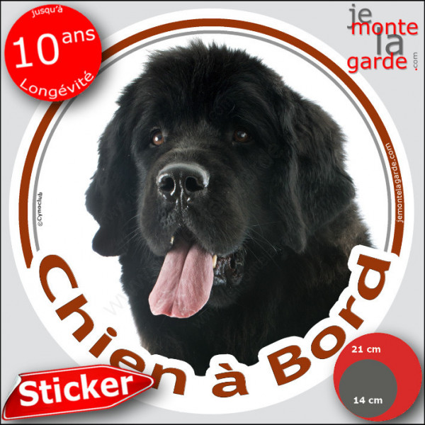 Terre Neuve noir, Sticker autocollant rond "Chien à Bord" Disque adhésif vitre voiture photo
