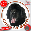 Terre Neuve noir, sticker voiture rond "Chien à Bord" 2 tailles