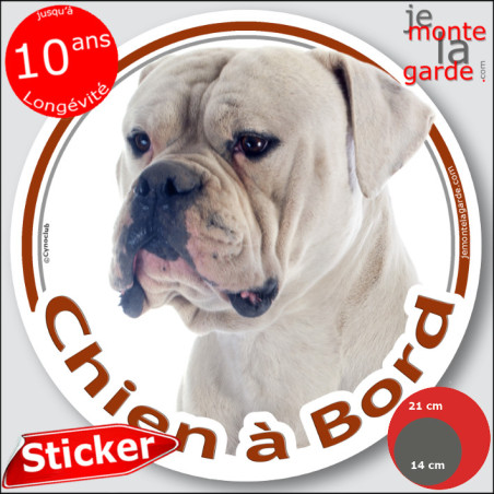 Bouledogue Américain tout Blanc, sticker autocollant rond "Chien à Bord" Disque adhésif vitre voiture, Bulldog photo Boulam, rés