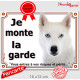 Husky Sibérien tout Blanc yeux bleus Tête, Plaque portail extérieur "Je Monte la Garde, risques périls" photo pancarte attention
