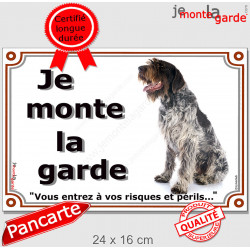 Griffon Korthals assis, plaque portail "Je Monte la Garde, risques et périls" pancarte panneau Khortal attention au chien photo