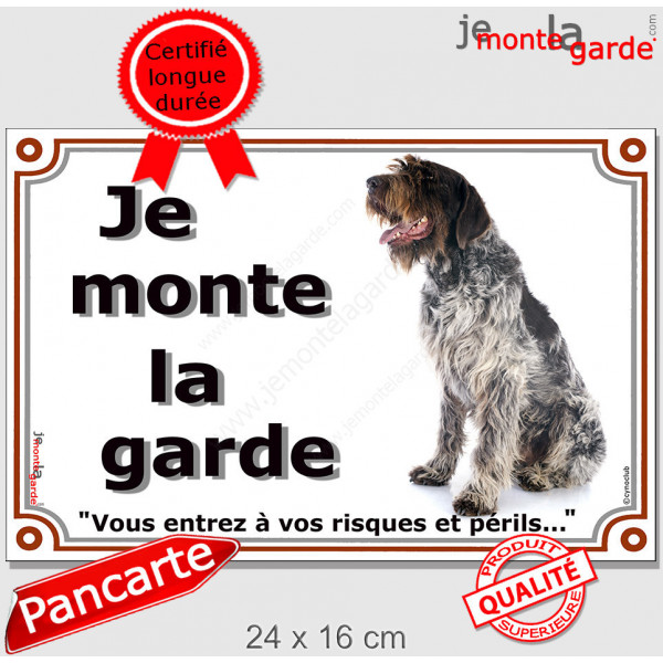 Griffon Korthals assis, plaque portail "Je Monte la Garde, risques et périls" pancarte panneau Khortal attention au chien photo