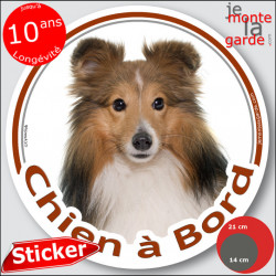 Berger Shetland fauve, sticker autocollant rond "Chien à Bord" disque photo adhésif vitre voiture Sheltie marron