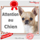 Chihuahua beige à poils courts Tête, plaque portail "Attention au Chien" pancarte panneau sable photo