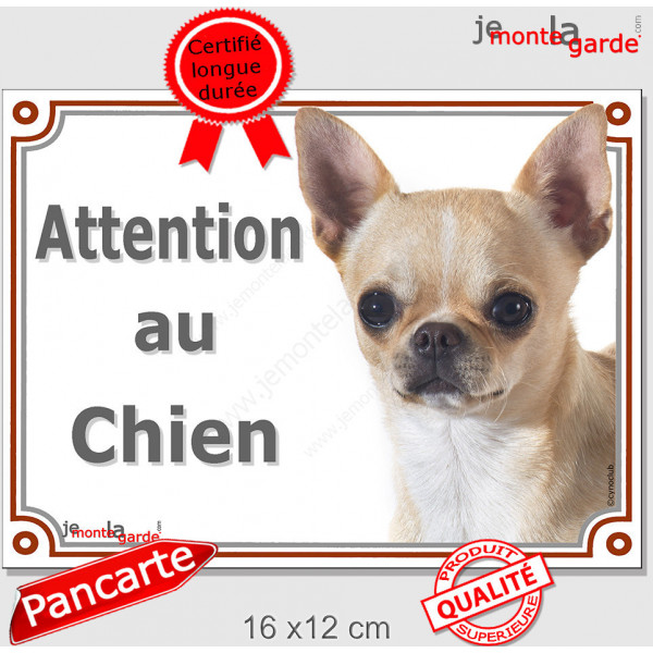 Chihuahua beige à poils courts Tête, plaque portail "Attention au Chien" pancarte panneau sable photo