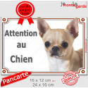 Chihuahua poils courts, plaque portail "Attention au Chien" 2 tailles LUX D