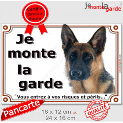 Berger Allemand noir feu Poils Courts Tête, Plaque portail "Je Monte la Garde, risques et périls" pancarte photo attention chien