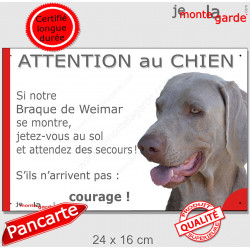 Braque de Weimar, Panneau portail "Attention au Chien Jetez Vous au Sol, attendez secours, courage" marrant drôle plaque photo