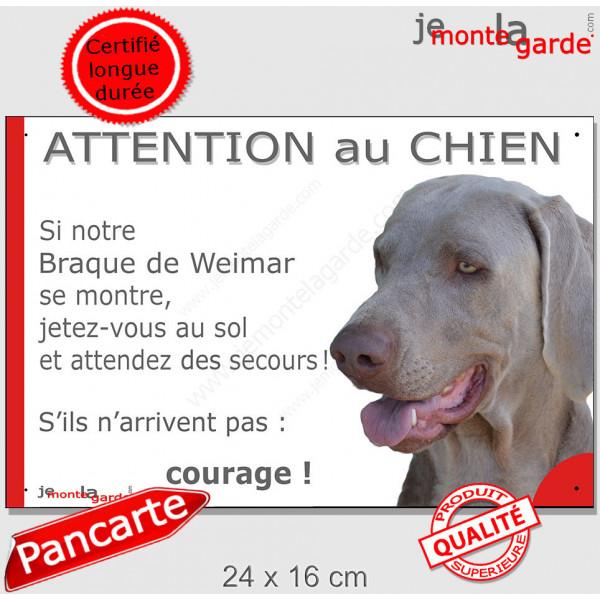 Braque de Weimar, Panneau portail "Attention au Chien Jetez Vous au Sol, attendez secours, courage" marrant drôle plaque photo
