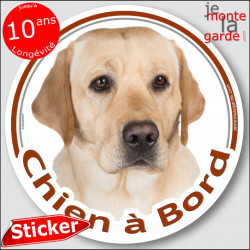 Labrador sable, sticker autocollant rond "Chien à Bord" Disque photo adhésif vitre voiture
