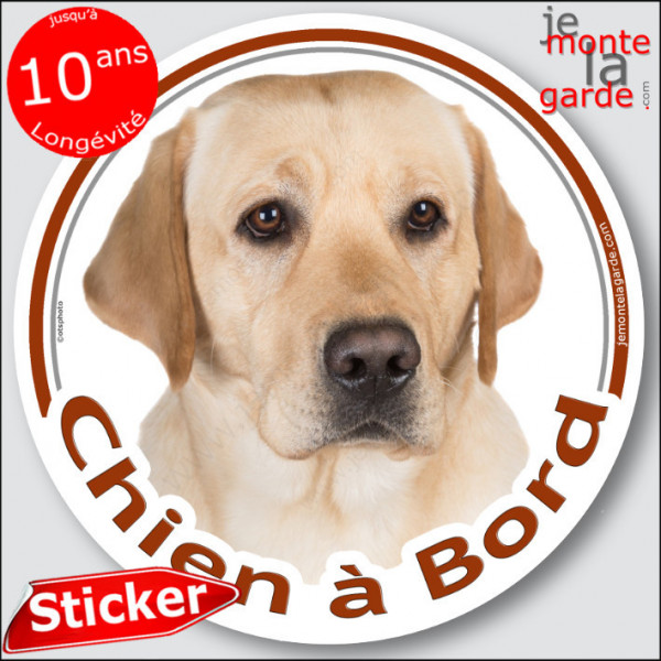 Labrador sable, sticker autocollant rond "Chien à Bord" Disque photo adhésif vitre voiture