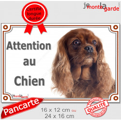 Cavalier King Charles Rouge Rubis Tête, plaque portail extérieur "Attention au Chien" pancarte photo panneau marron