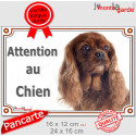 Cavalier King Charles Rubis, plaque extérieure "Attention au Chien" 2 tailles D