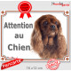 Cavalier King Charles Rouge Rubis Tête, plaque portail extérieur "Attention au Chien" pancarte photo panneau marron