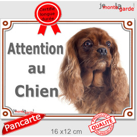 Cavalier King Charles Rubis, plaque extérieure "Attention au Chien" 2 tailles D