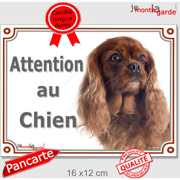 Cavalier King Charles Rouge Rubis Tête, plaque portail extérieur "Attention au Chien" pancarte photo panneau marron
