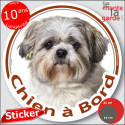 Shih-Tzu gris-bleu Tête, sticker autocollant rond "Chien à Bord" disque adhésif vitre voiture photo Shitsu
