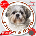 Shih-tzu gris-bleu, sticker voiture rond "Chien à Bord" 2 tailles D