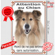 Colley Fauve, Pancarte Portail Vertical extérieur "Attention au Chien, interdit sans autorisation" photo Berger d'Ecosses Lassie