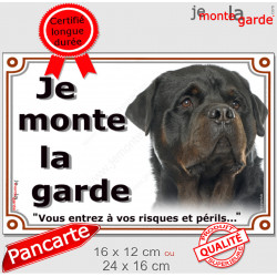 Rottweiler Sombre, plaque portail extérieur "Je Monte la Garde, risques et périls" pancarte rott attention au chien photo