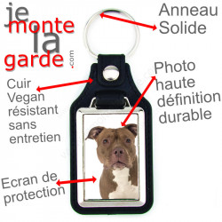 Porte-clés en cuir vegan et support en métal, avec la photo de votre American Bully Marron fauve, idée cadeau clef red nose