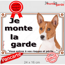 Basenji fauve marron, plaque portail "Je Monte la Garde, risques périls" pancarte panneau photo Bassenji