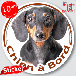 Teckel noir et feu à poils ras Tête, sticker autocollant rond "Chien à Bord" Disque photo adhésif vitre voiture