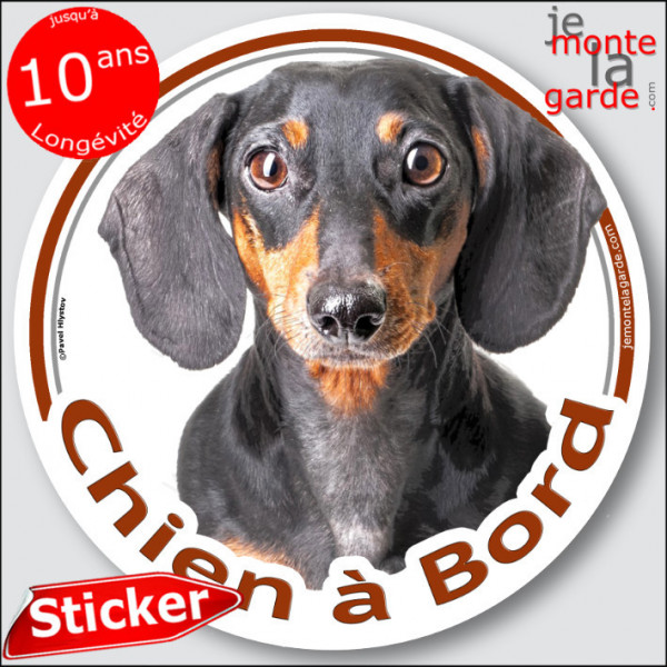 Teckel noir et feu à poils ras Tête, sticker autocollant rond "Chien à Bord" Disque photo adhésif vitre voiture