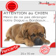 Plaque portail humour "Attention au Chien, Merci de ne pas déranger notre Dogue de Bordeaux" pancarte humour panneau photo