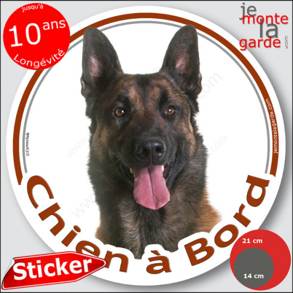 Berger Belge Malinois sombre foncé, sticker autocollant rond "Chien à Bord" Disque adhésif vitre voiture photo