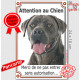 Cane Corso Italiano gris bleu, plaque portail verticale "Attention au Chien, pas entrer sans autorisation" pancarte photo