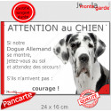 Dogue Allemand Arlequin, plaque portail humour "Attention au Chien, Jetez Vous au Sol" 24 cm JET