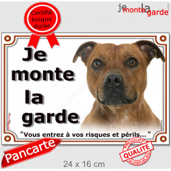 Staffie Fauve Tête, plaque portail extérieur "Je Monte la Garde, risques périls" Staffordshire Bull Terrier, staffy photo