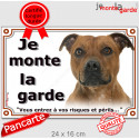 Staffie Fauve, plaque portail extérieur "Je Monte la Garde, risques périls" 24 cm LUX