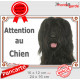 Briard noir, plaque portail "Attention au Chien" pancarte panneau photo Berger de Brie noir