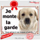 Labrador sable clair tête, plaque portail extérieur "je Monte la Garde, risques et périls" pancarte blanc beige photo pancarte