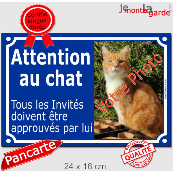 Photo Personnalisable, plaque extérieure bleue "Attention au Chat, tous les invités doivent être approuvés par lui"