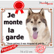 Husky sibérien cuivre doré marron, plaque portail "Je Monte la Garde, risques périls" pancarte photo panneau attention au chien