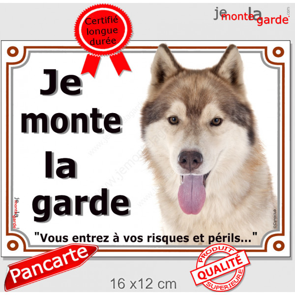 Husky sibérien cuivre doré marron, plaque portail "Je Monte la Garde, risques périls" pancarte photo panneau attention au chien