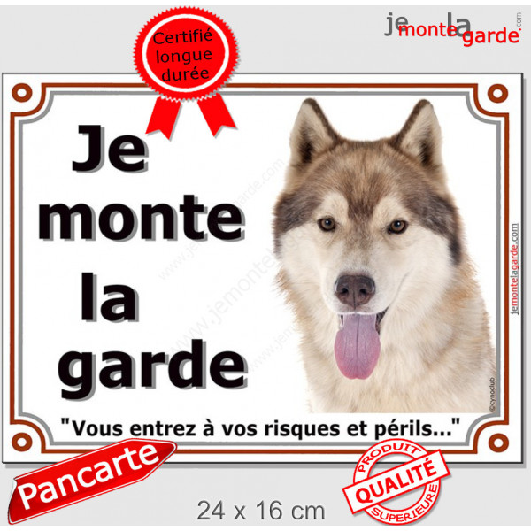 Husky sibérien cuivre doré marron, plaque portail "Je Monte la Garde, risques périls" pancarte photo panneau attention au chien