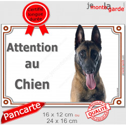 Berger Belge Malinois Tête, plaque "Attention au Chien" pancarte panneau photo race