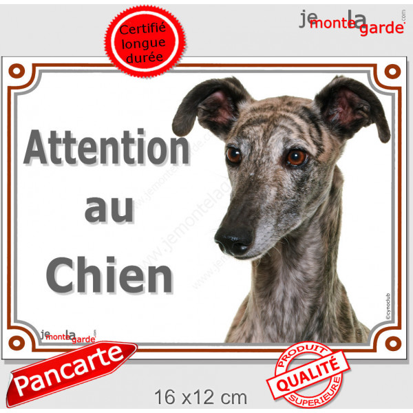 Lévrier Galgo Espagnol bringé Tête, plaque portail "Attention au Chien" pancarte extérieure panneau affiche photo