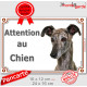 Lévrier Galgo Espagnol bringé Tête, plaque portail "Attention au Chien" pancarte extérieure panneau affiche photo