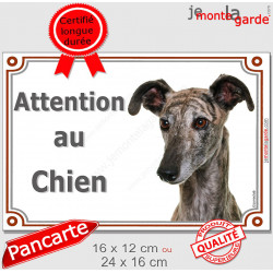 Lévrier Galgo Espagnol bringé Tête, plaque portail "Attention au Chien" pancarte extérieure panneau affiche photo