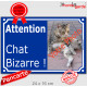 Photo Personnalisable, plaque extérieure bleue "Attention au Chat Bizarre !" Chat étrange