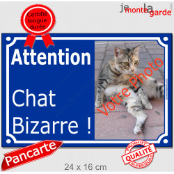 Photo Personnalisable, plaque extérieure bleue "Attention au Chat Bizarre !" Chat étrange
